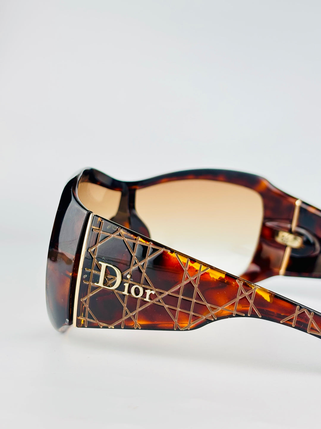 DIOR - CANNAGE 1