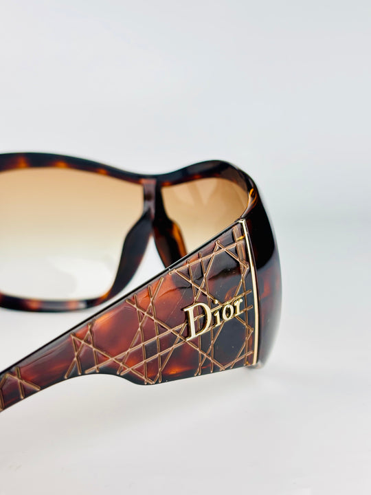 DIOR - CANNAGE 1