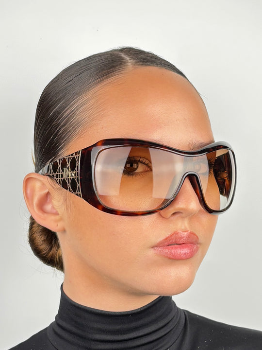 DIOR - CANNAGE 1