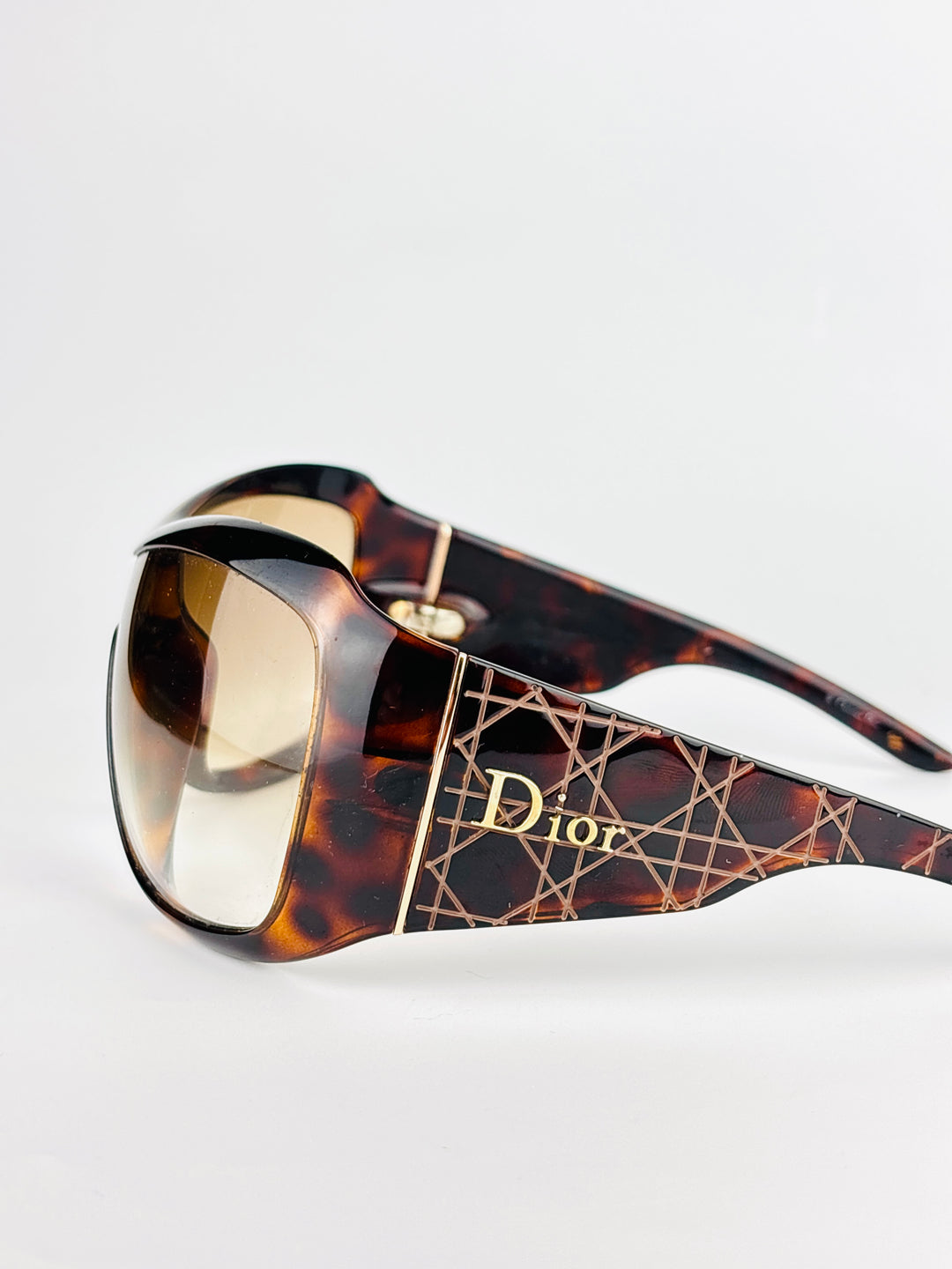 DIOR - CANNAGE